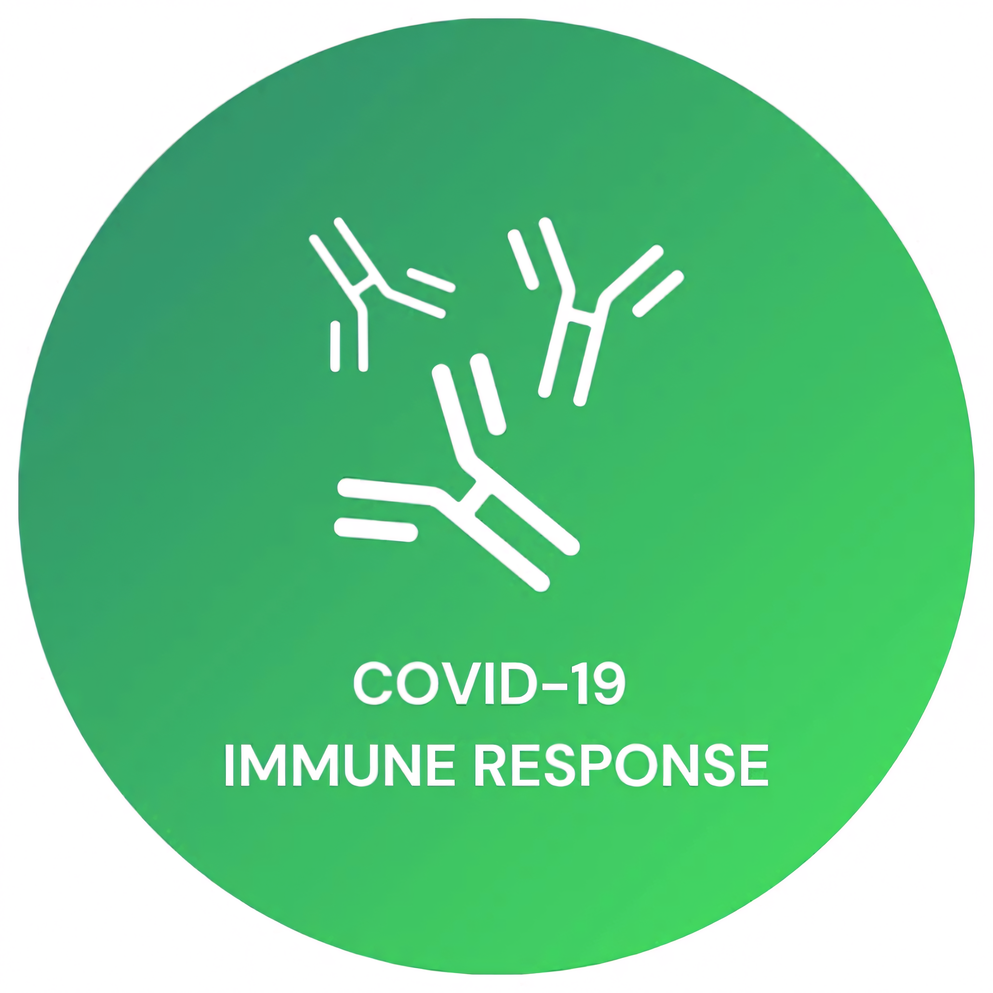 COVID-19 Immune Response